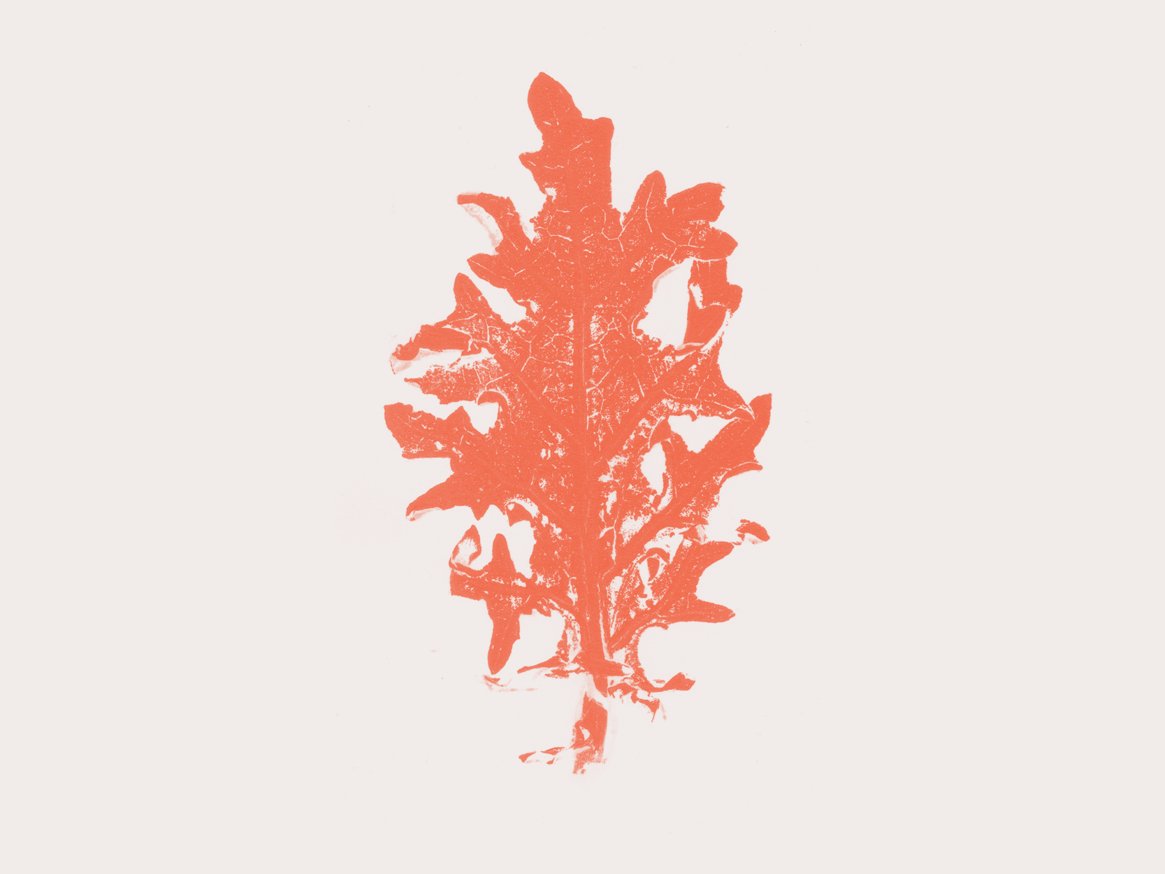 visuals2