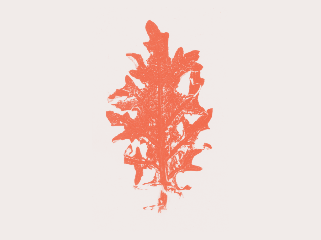visuals2